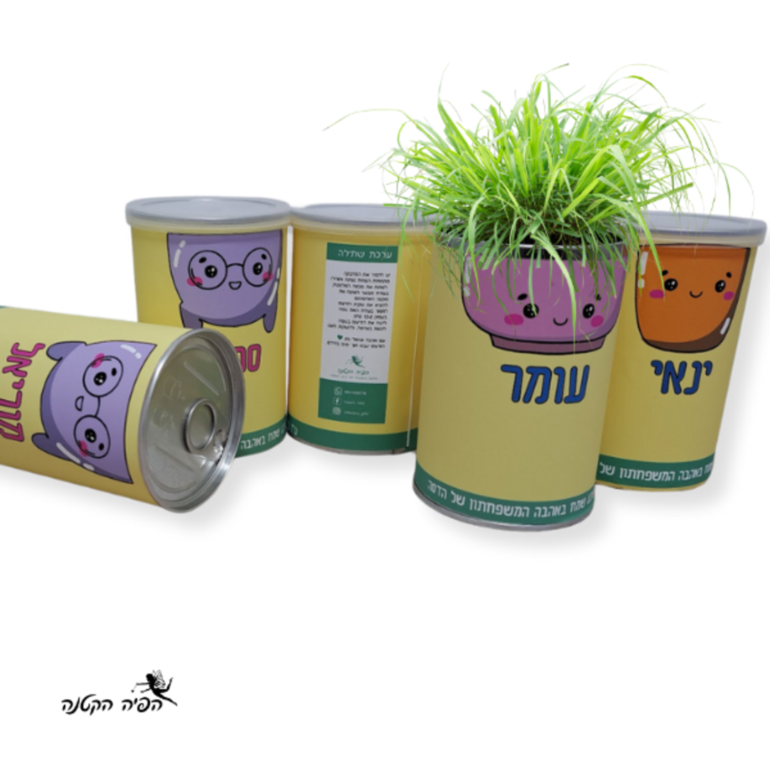 ראש דשא בפחית