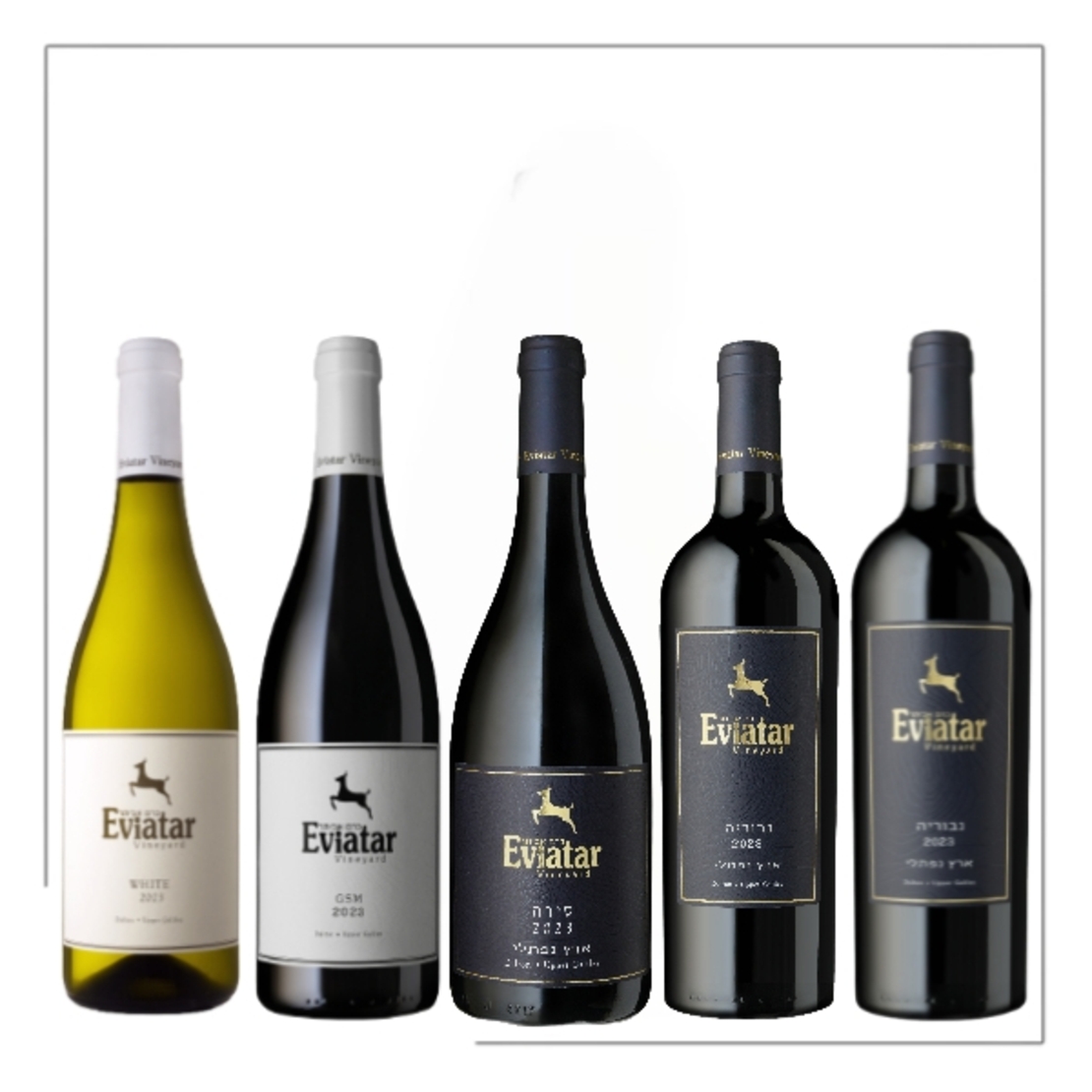 מארז יינות היקב