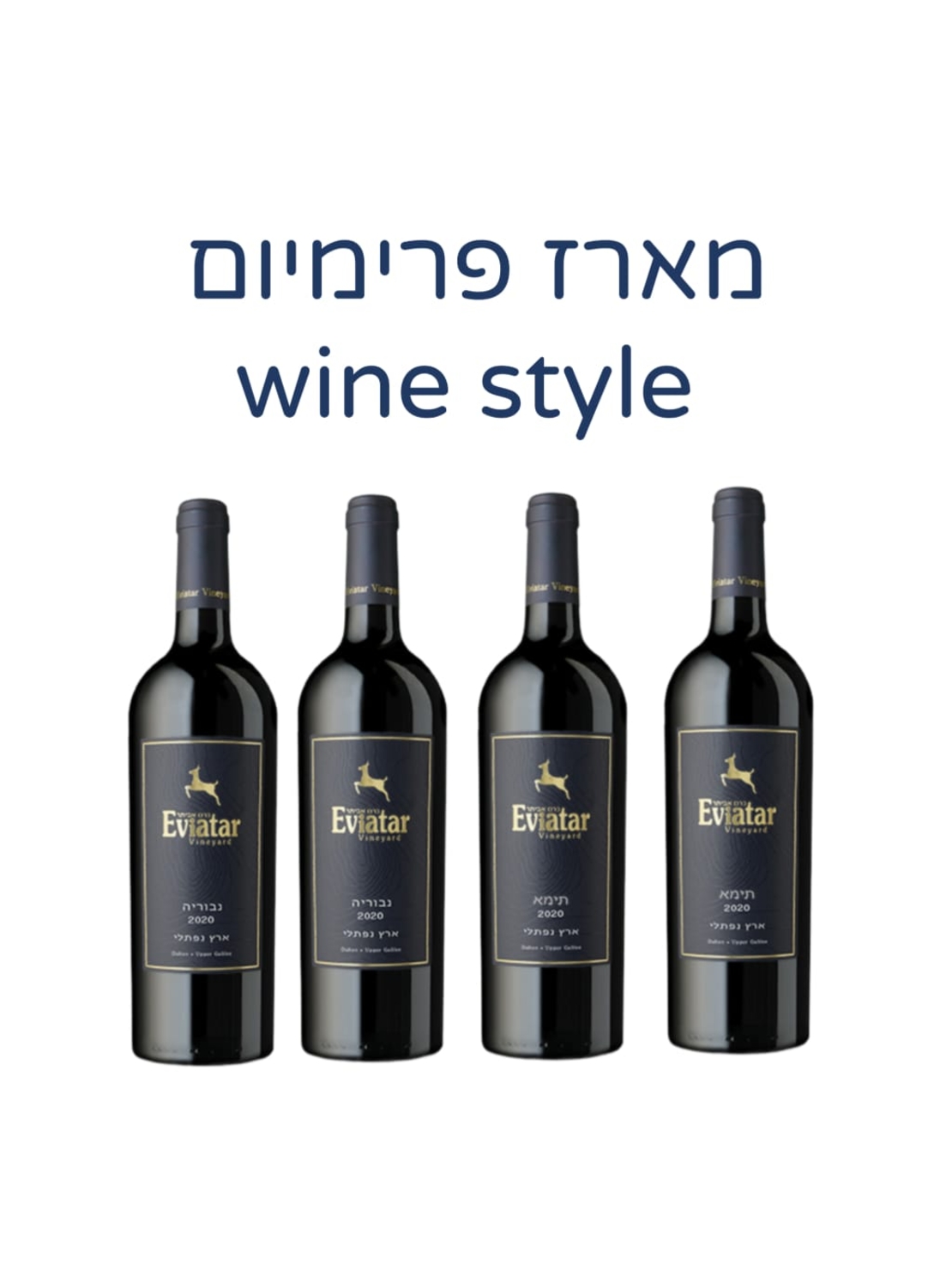 מארז פרימיום wine styel