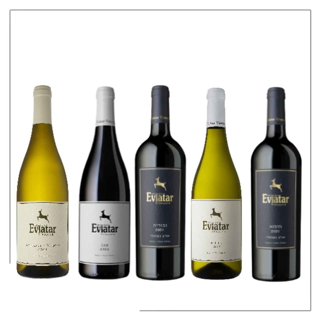 A case of Israeli boutique wines from the Upper Galilee