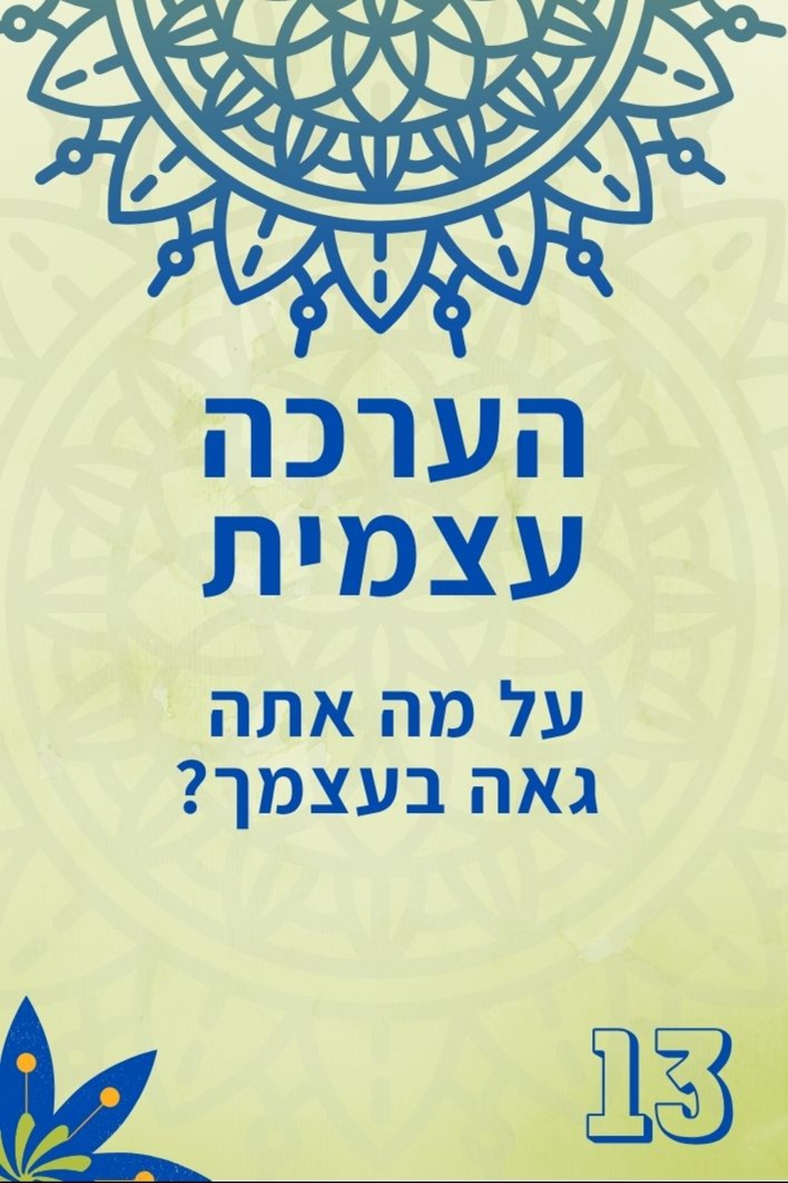 לבר המצווה 13