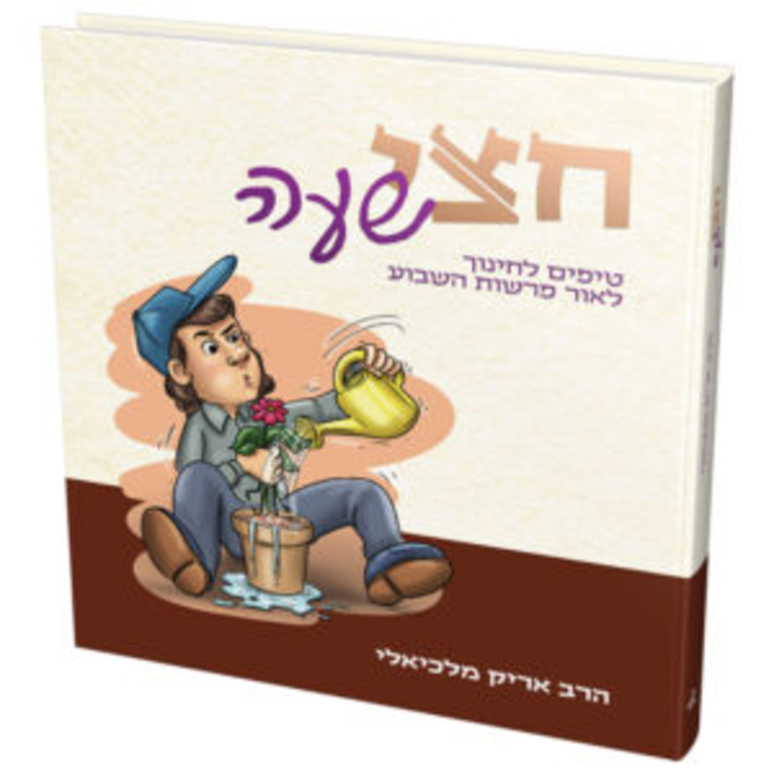 חצי שעה