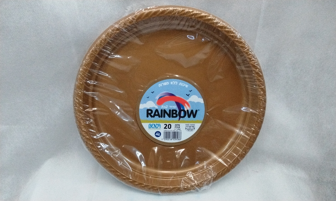 צלחת ענקית חד פעמי
