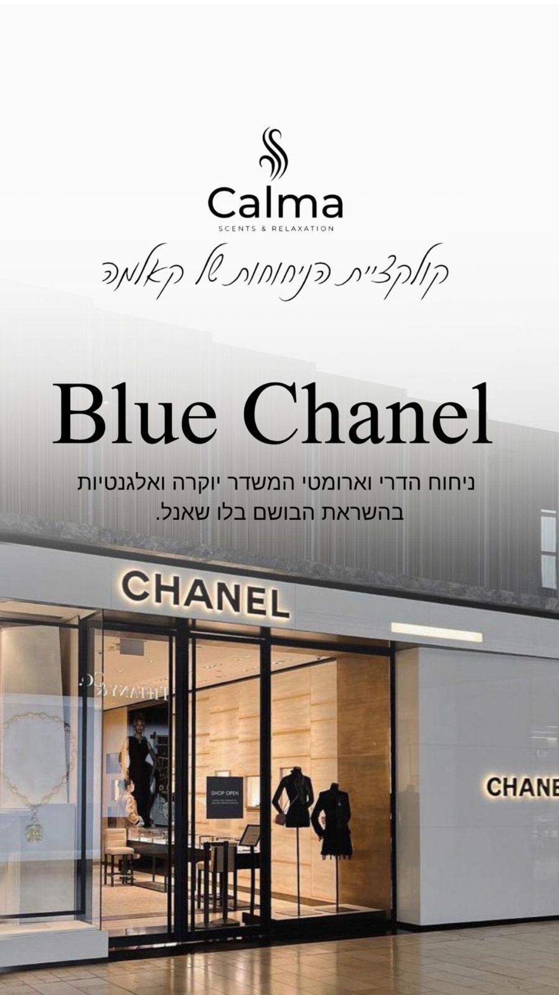 תמצית שמן בישום בלו שאנל 500 מ