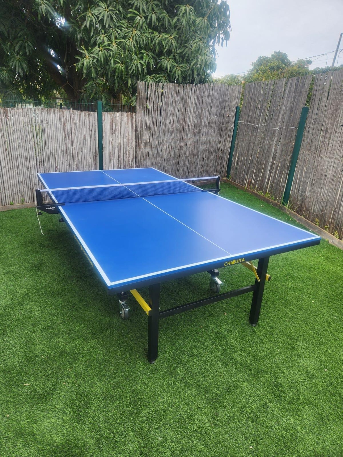 שולחן טניס שולחן חוץ מתקפל Storm15