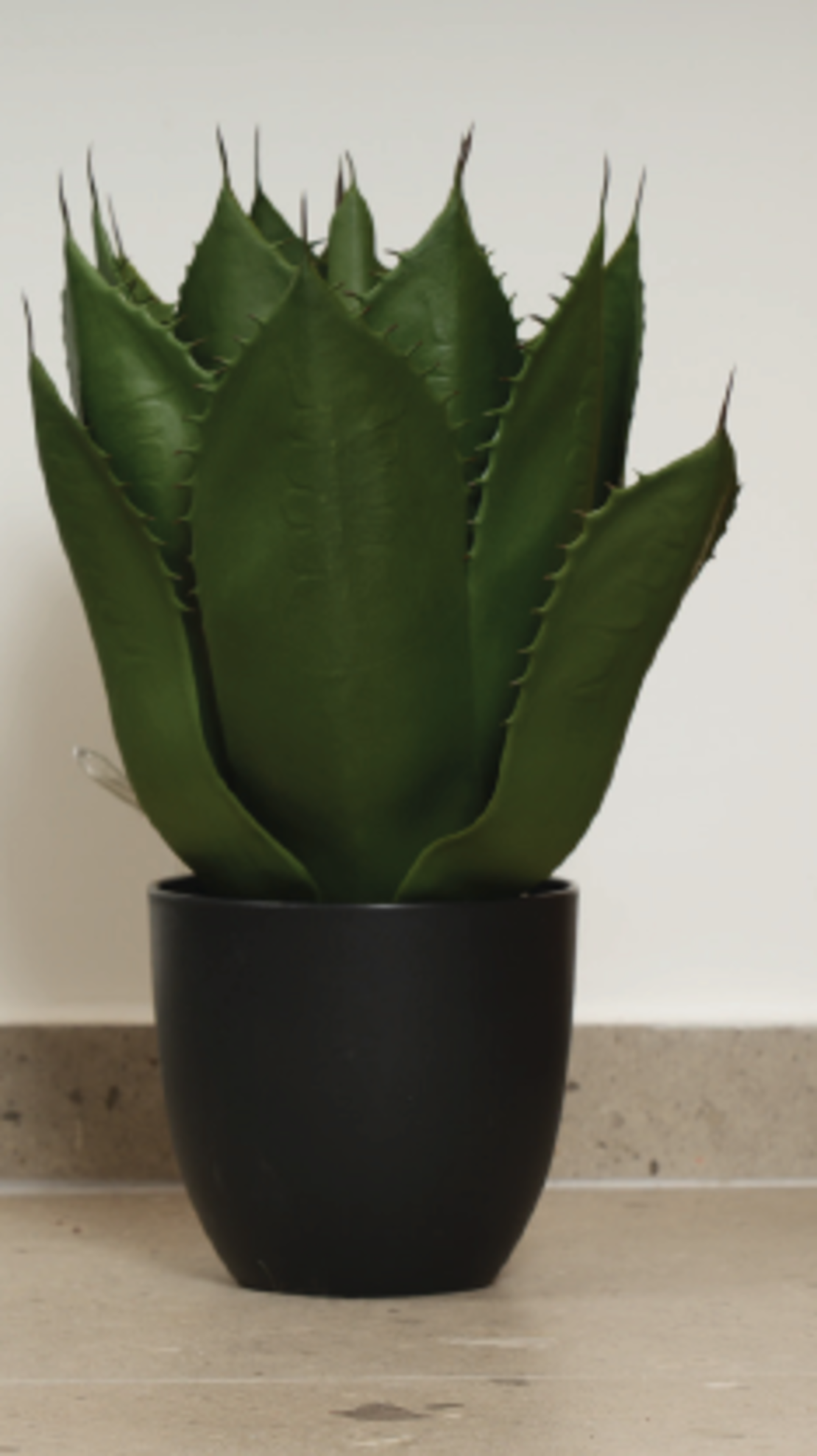 עץ AGAVE 48/51 CM