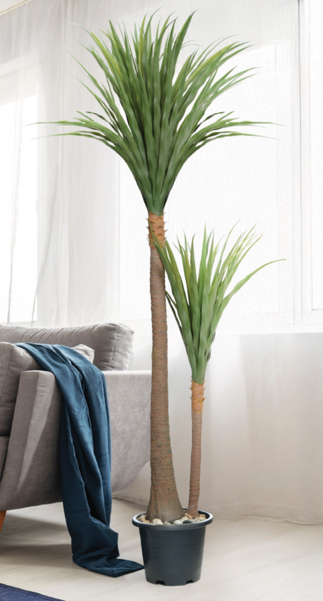 עץ YUCCA 88/88/150 CM