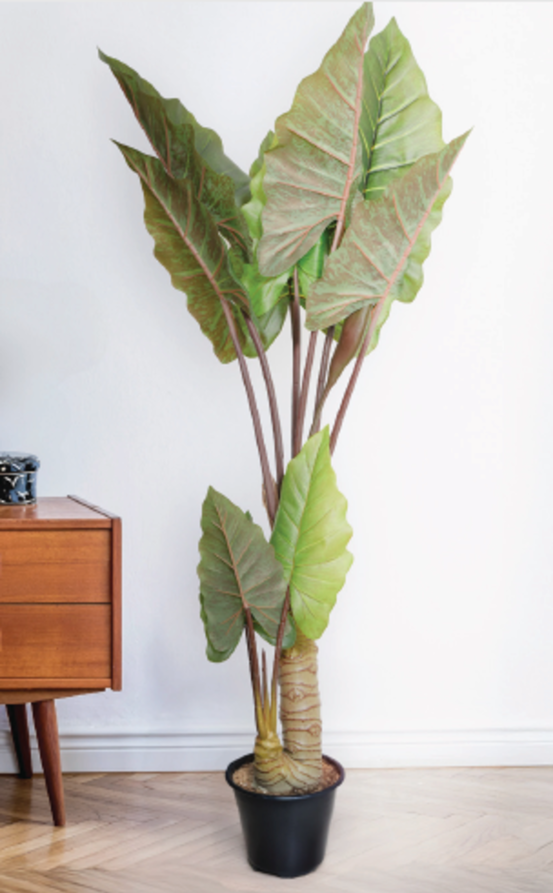 עץ TARO TREE 101/98/134 CM