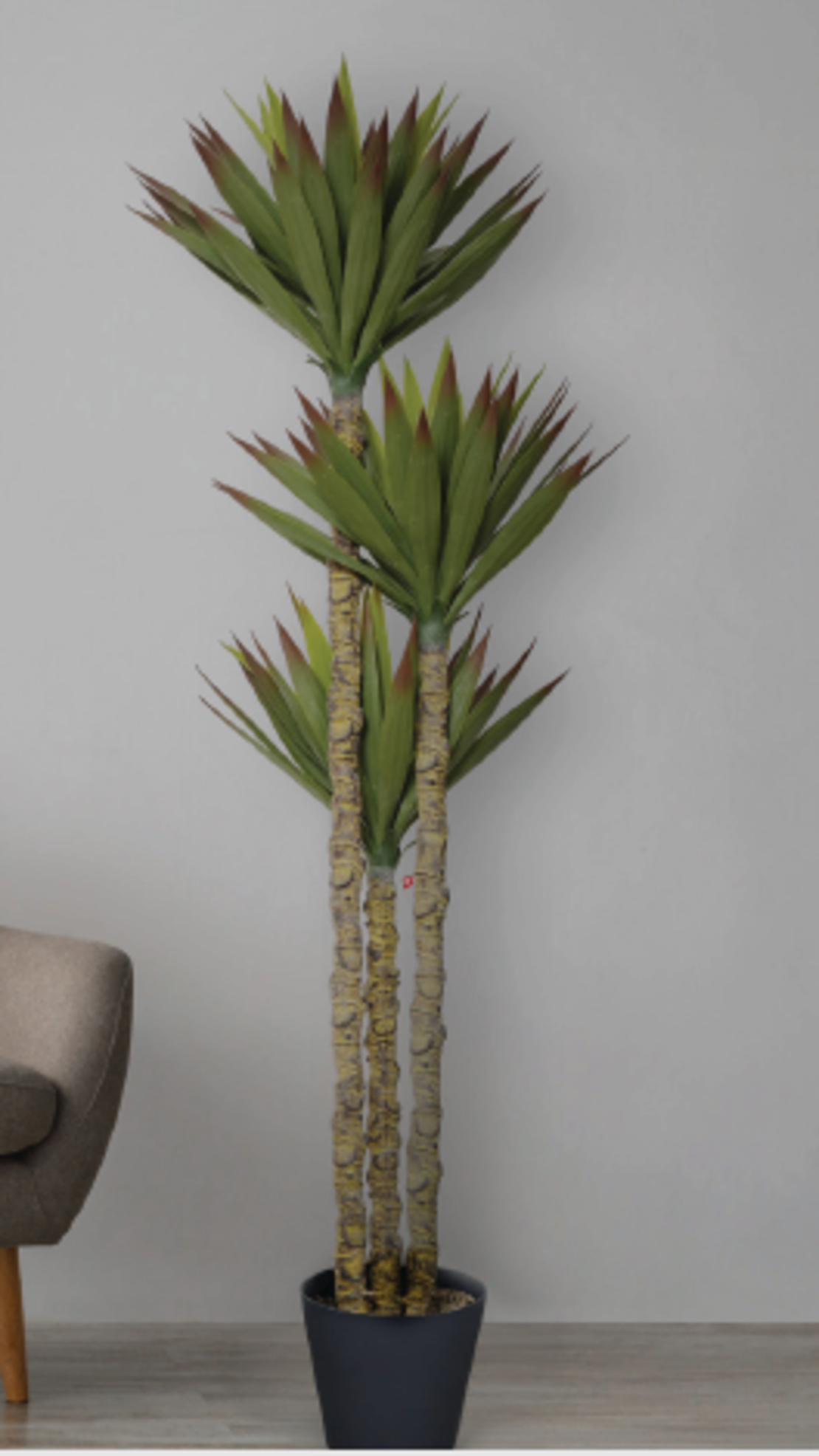 עץ AGAVE MULTI TREE 67/60/148 CM