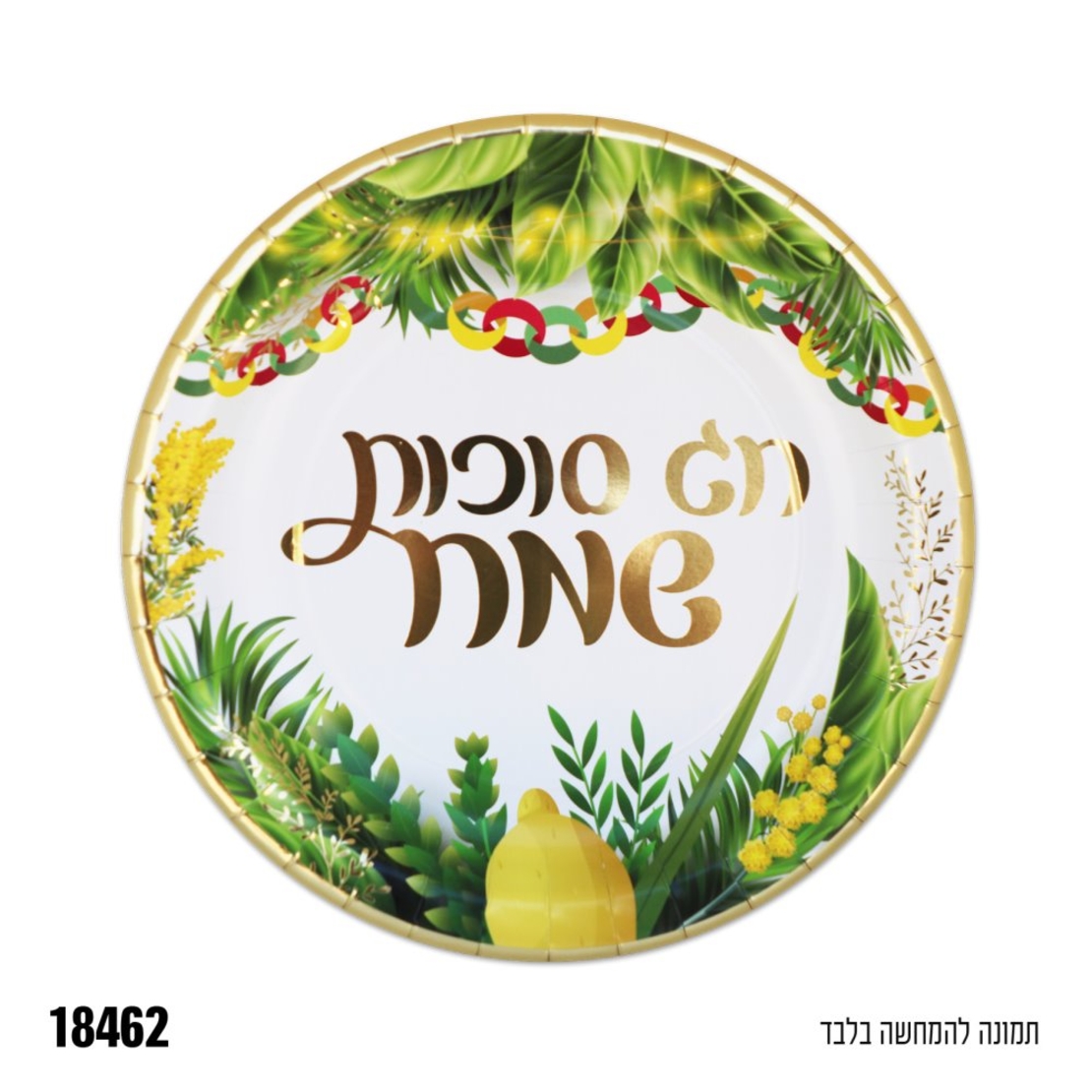 צלחת נייר 9 סוכות 10 יחידות