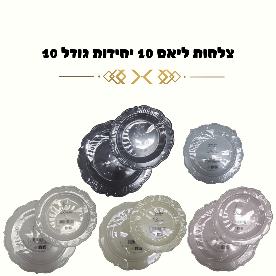 צלחות ליאם 10 יחידות גדולות