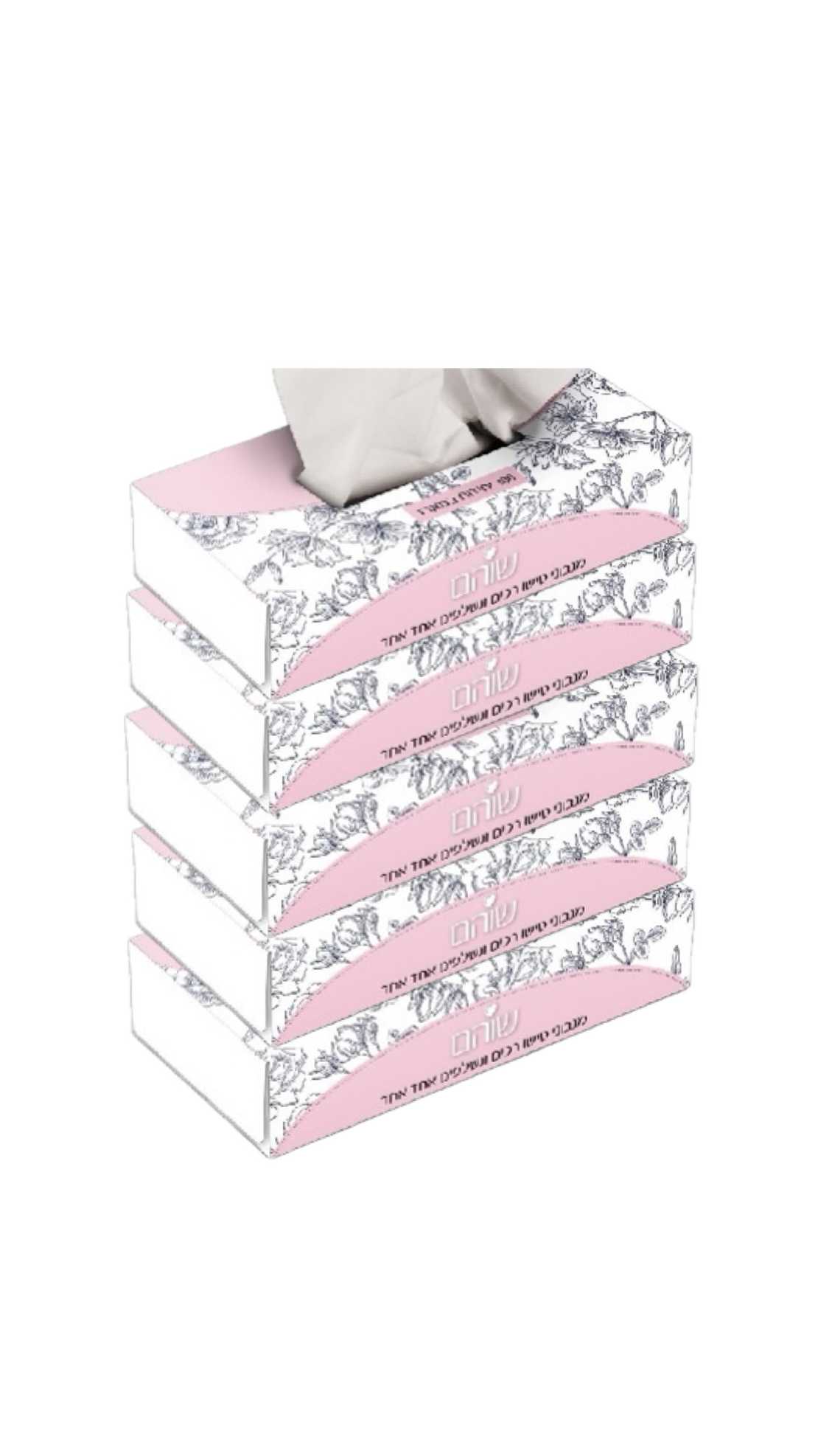 קרטון 10 חבילות חמישיית ממחטות טישיו 100 דף דו שכבתי שוהם