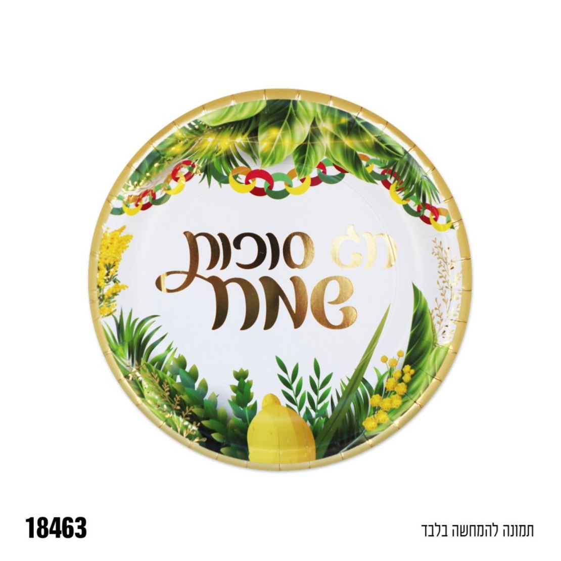 צלחת נייר 7 סוכות 10 יחידות