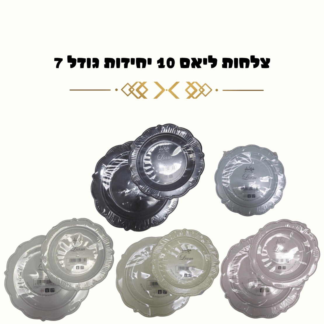 צלחות ליאם 10 יחידות קטנות