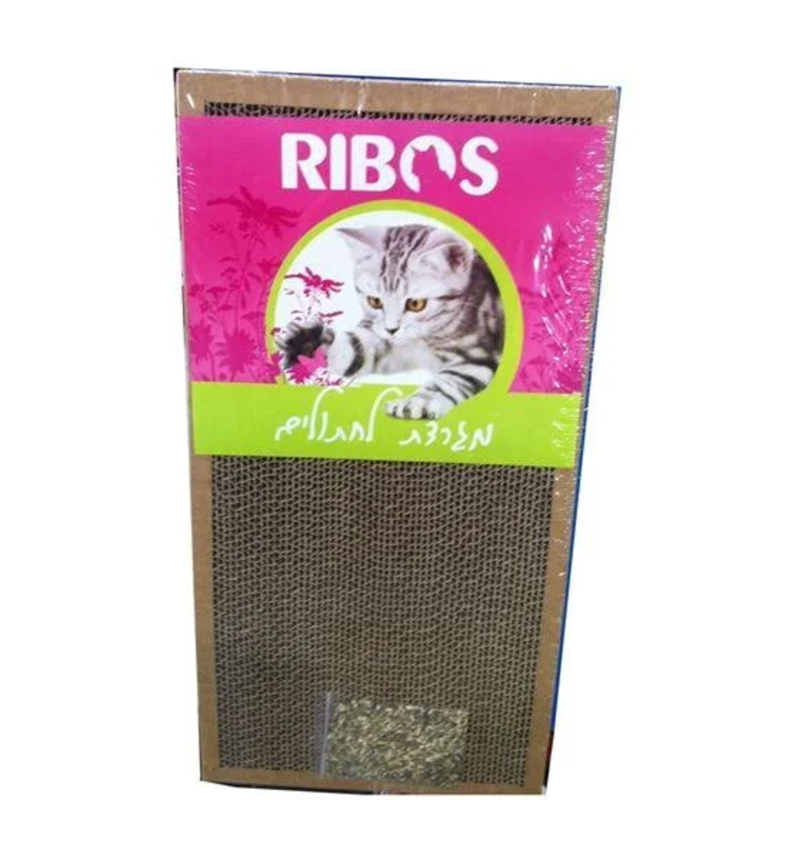 מגרדת חתולים