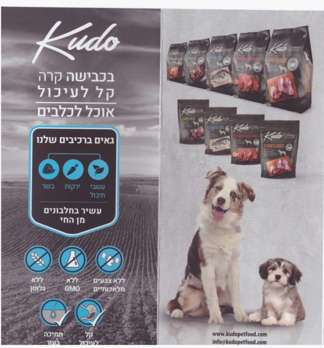 קודו  מיני ג'וניור הודו וברווז 3 ק