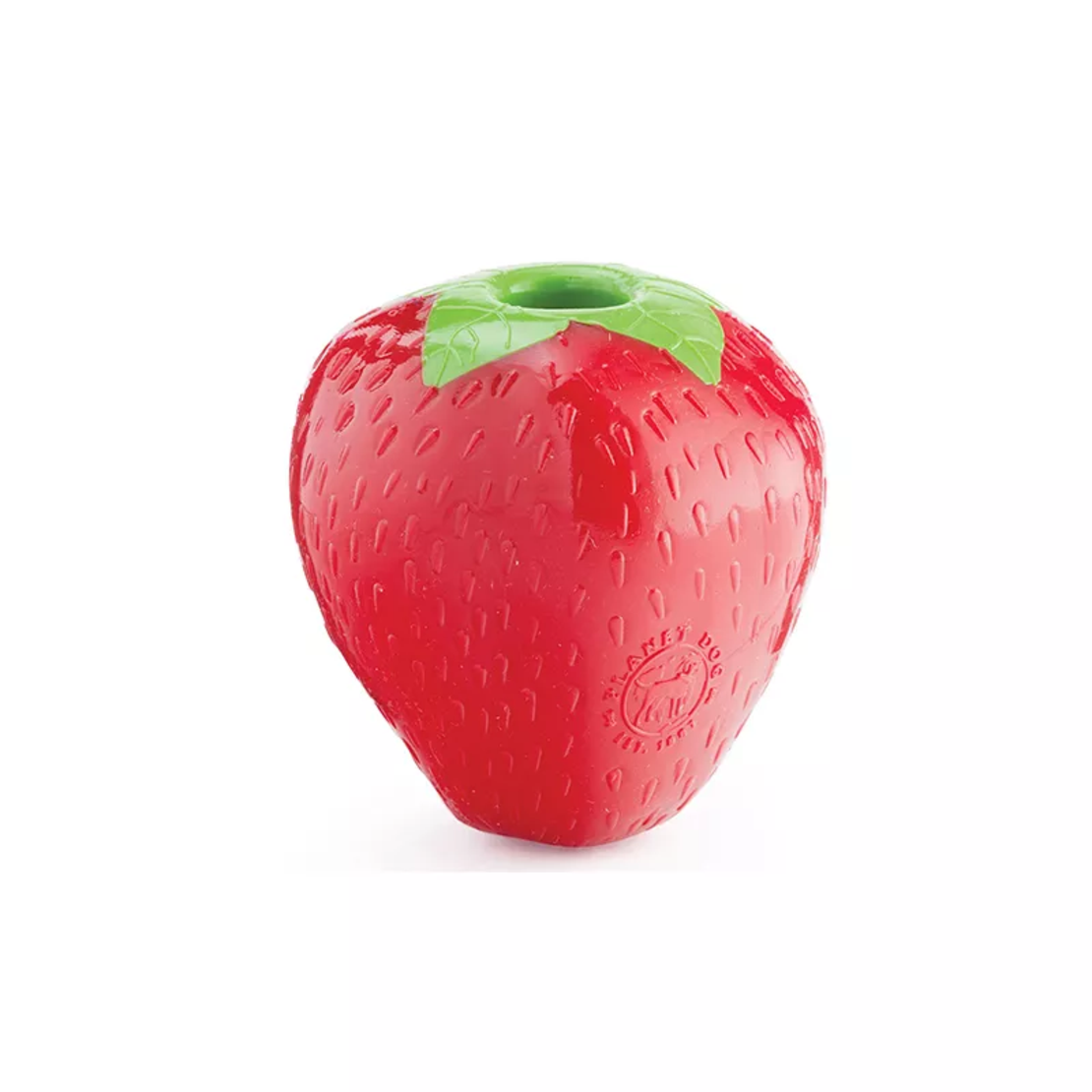 תות תעסוקה לכלב