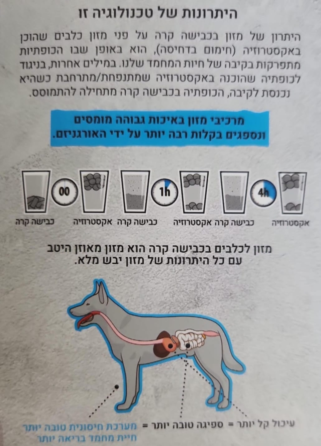 קודו  מיני ג'וניור הודו וברווז 3 ק