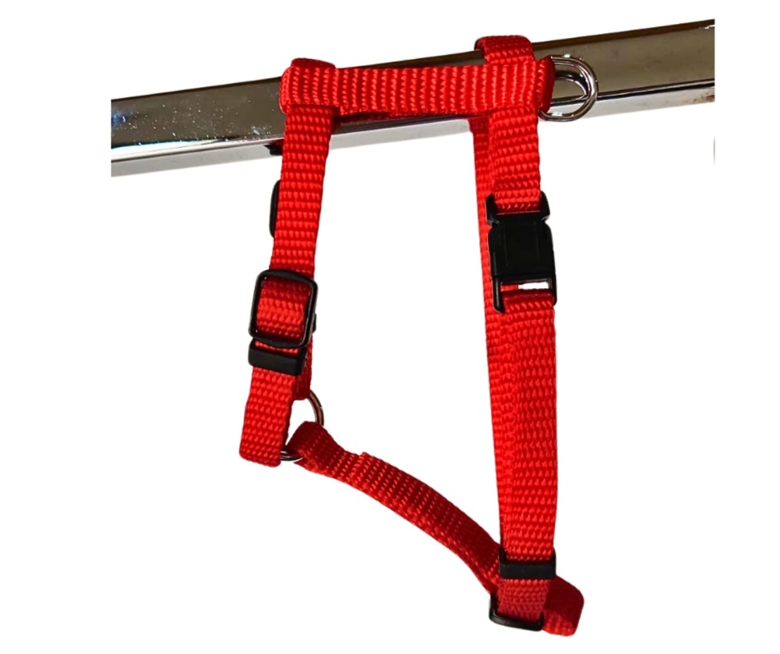 ריתמה לכלב צבע אדום 1cm