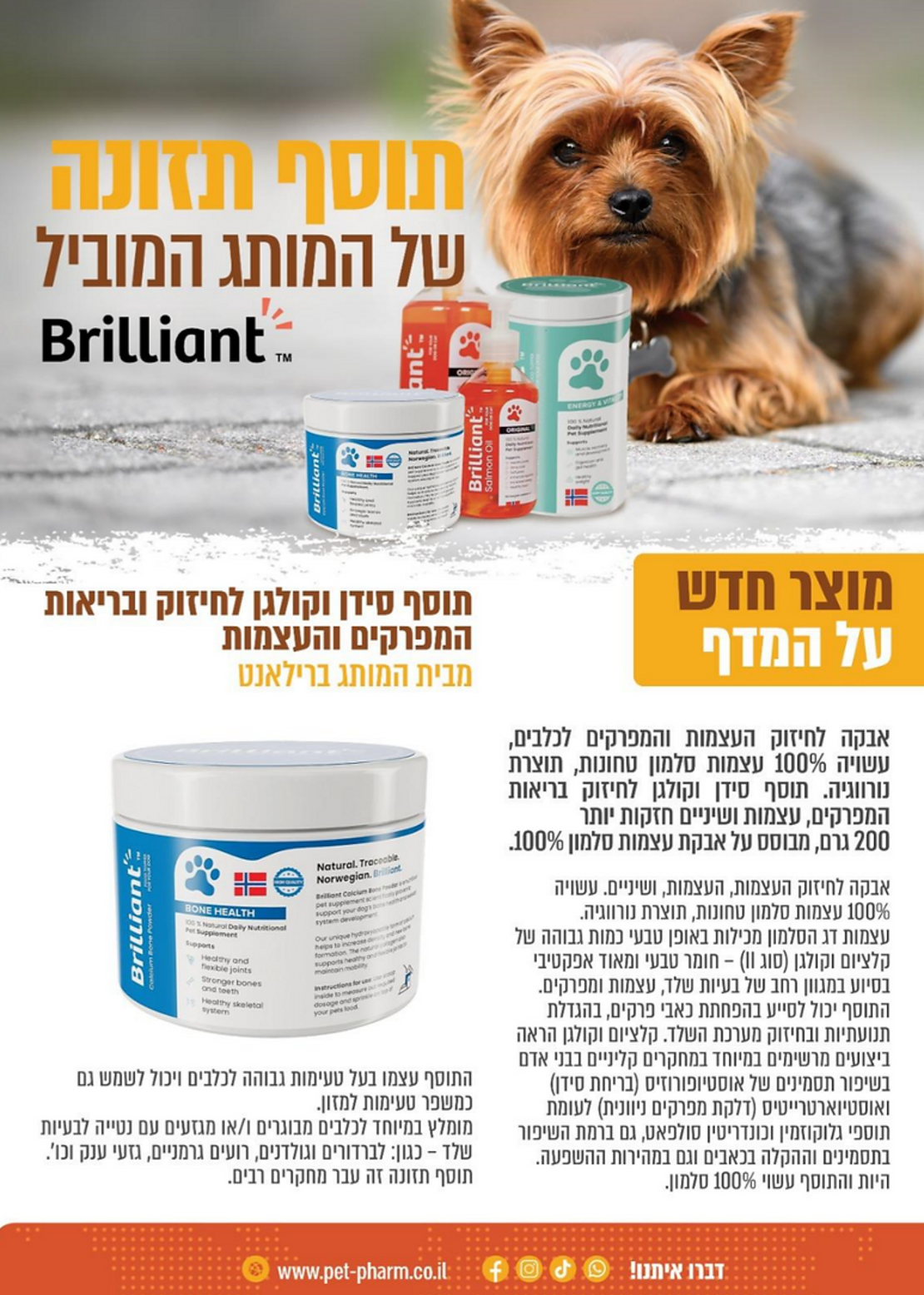 תוסף סידן וקולגן לחיזוק ובריאות המפרקים והעצמות