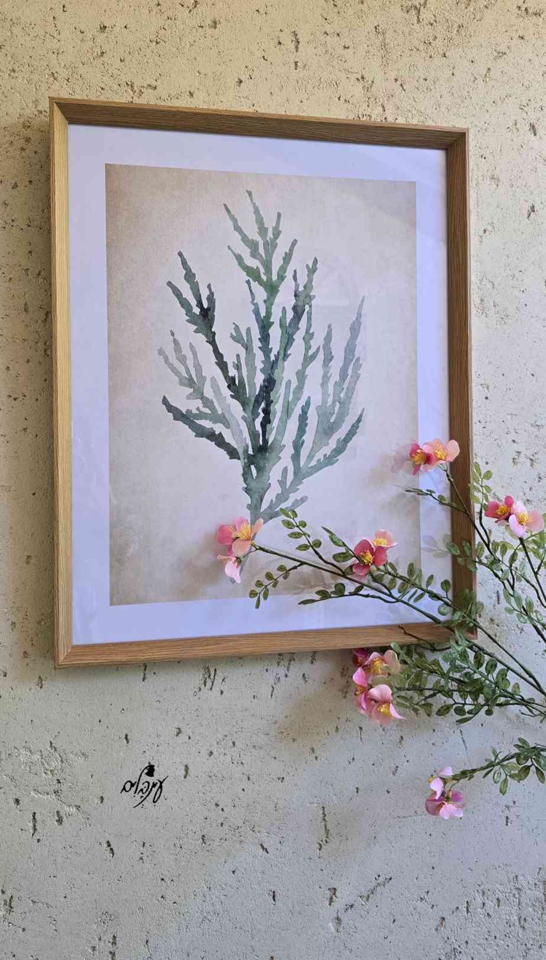 תמונת צמח דגם 1