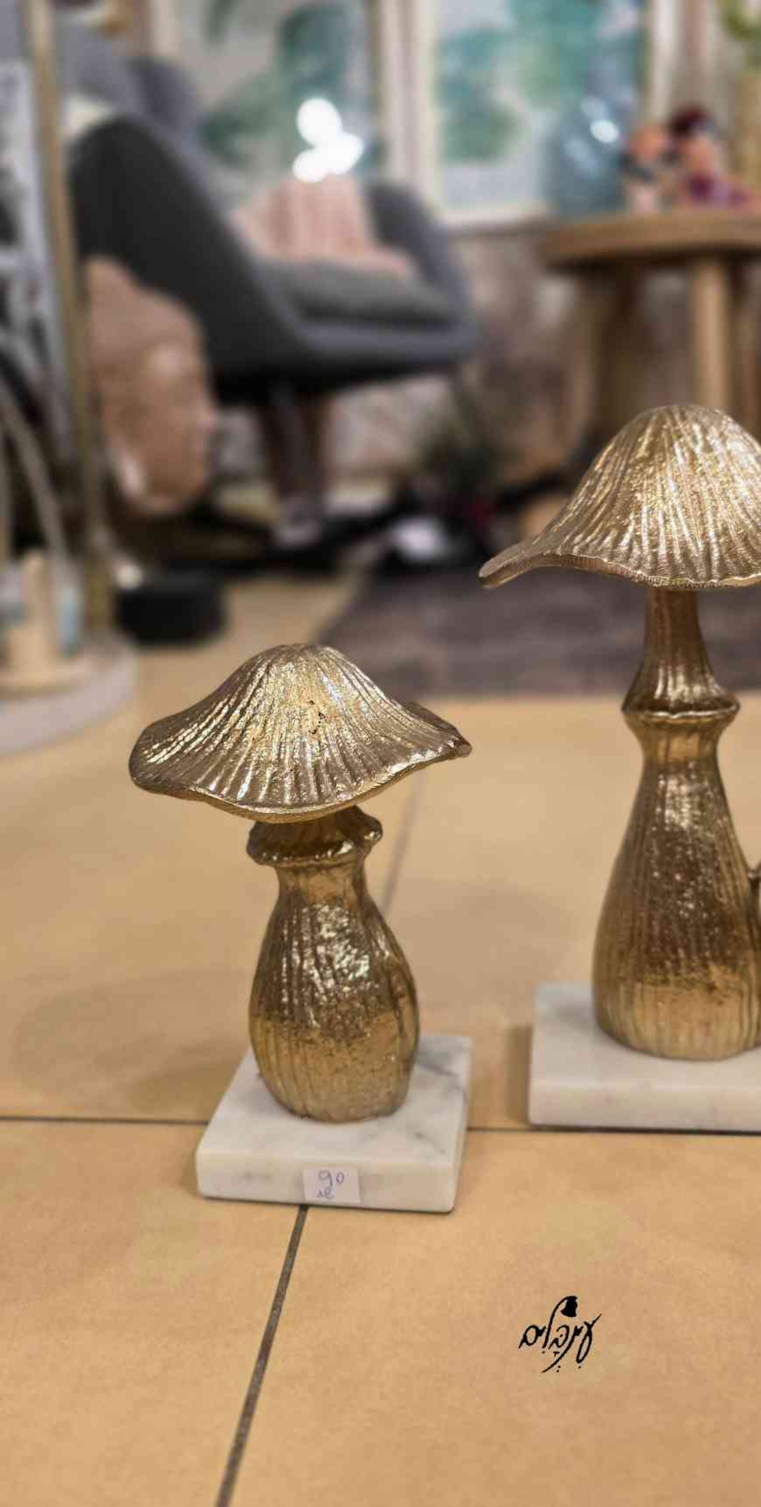 פטריית ברזל מוזהבת קטנה