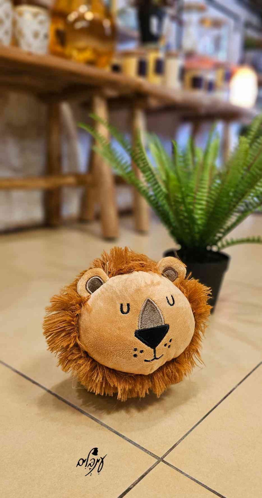 מעצור דלת אריה 1