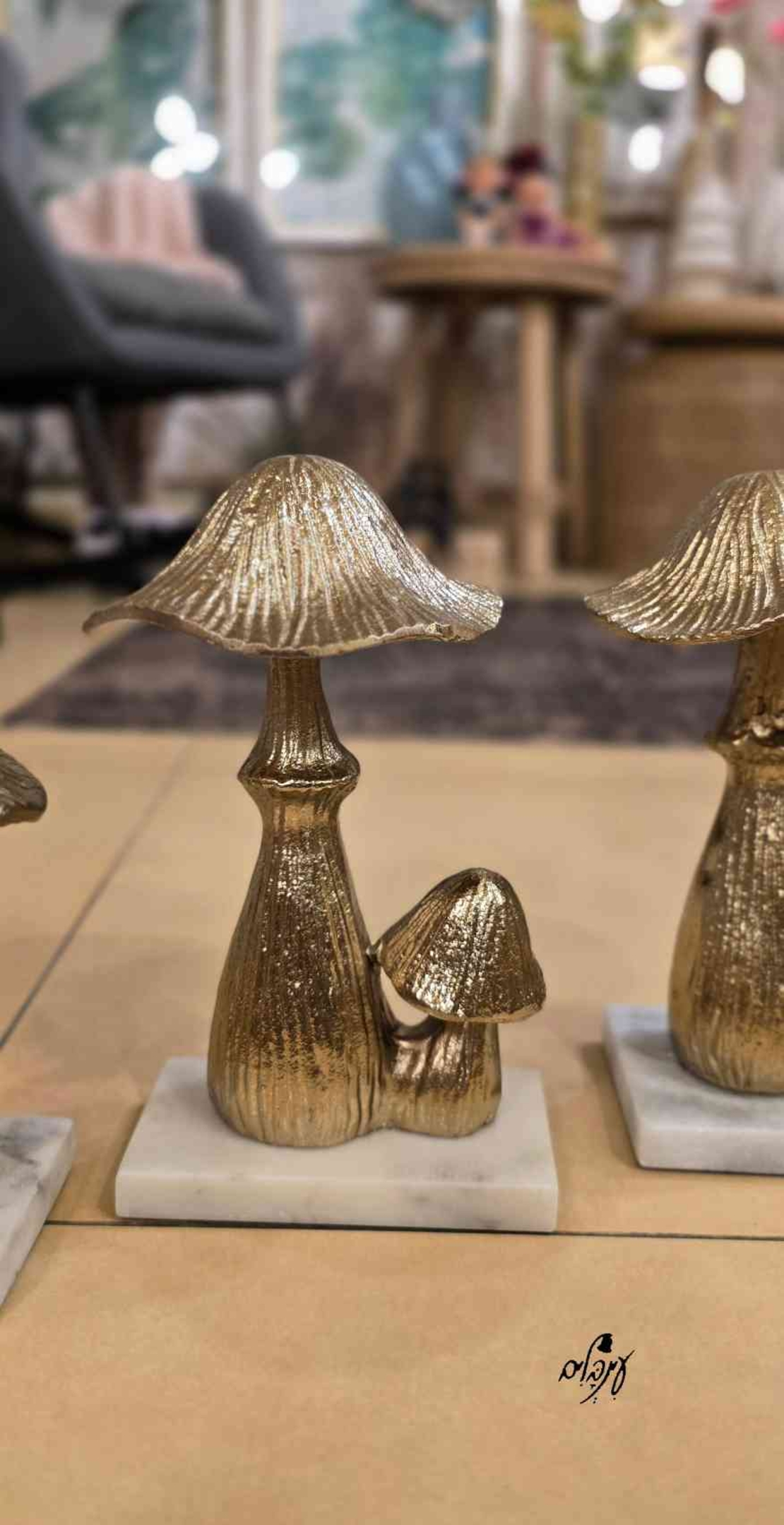 פטריית ברזל מוזהבת זוגית