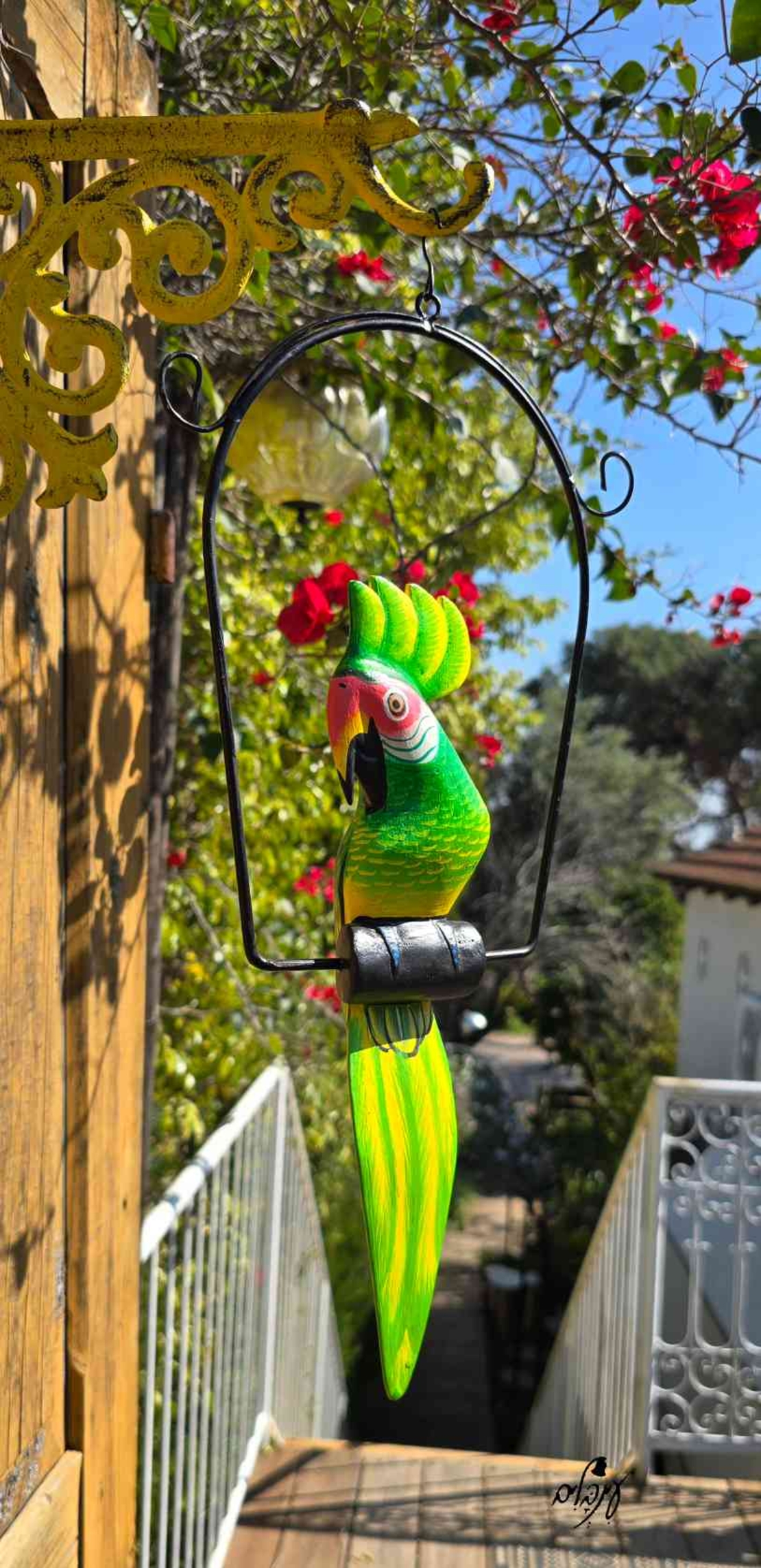 תוכי דקורטיבי לתליה