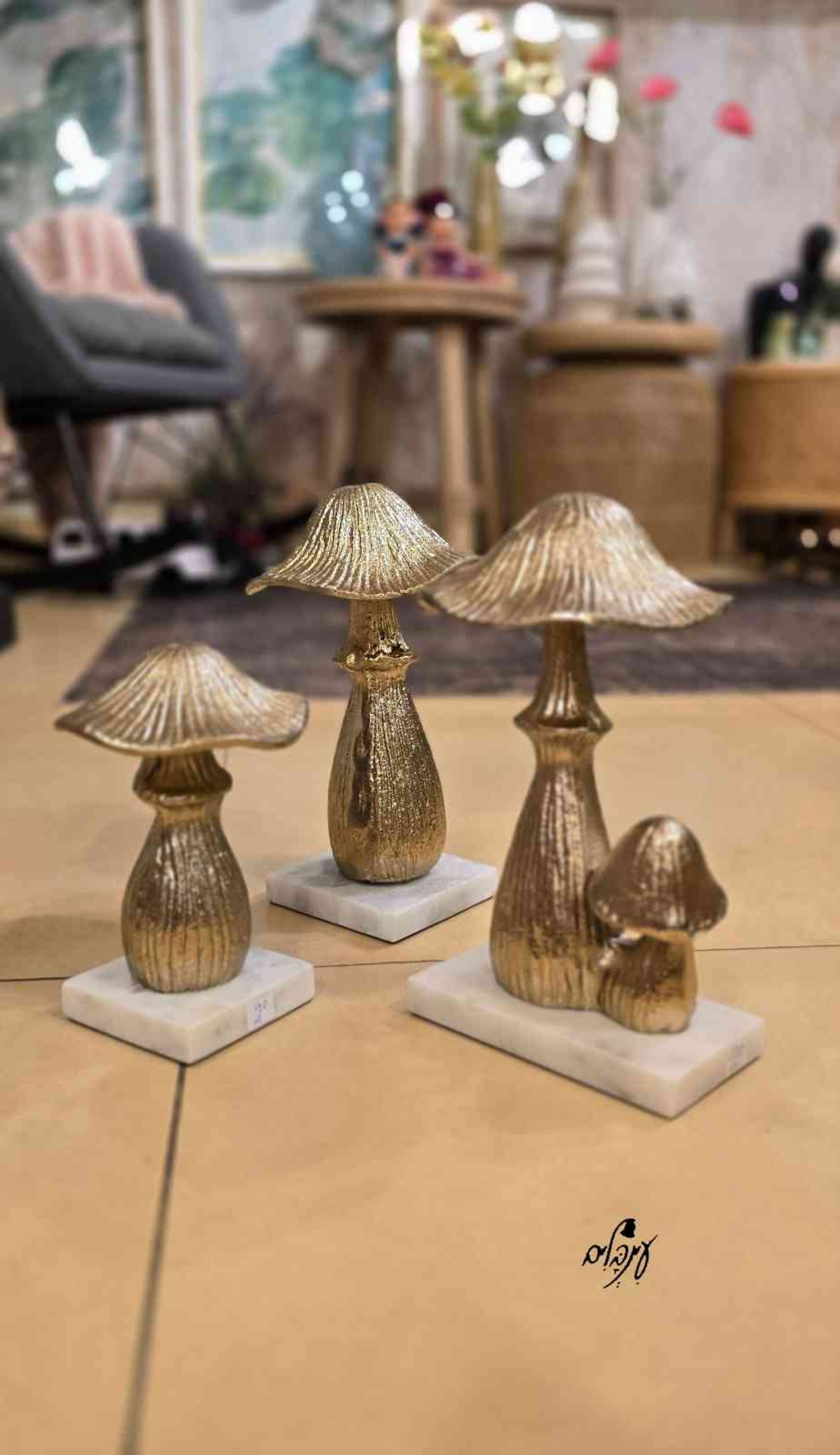 פטריית ברזל מוזהבת קטנה