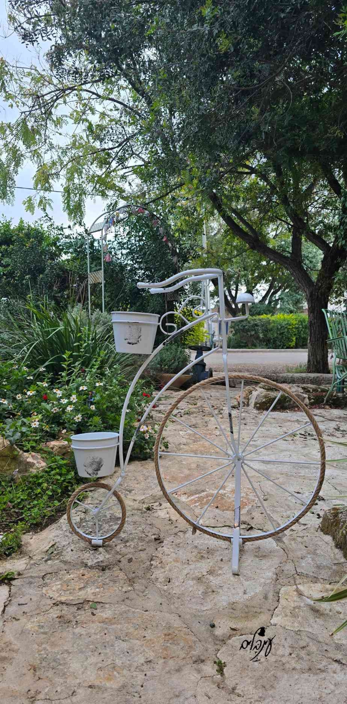 אופניים לדקורציה