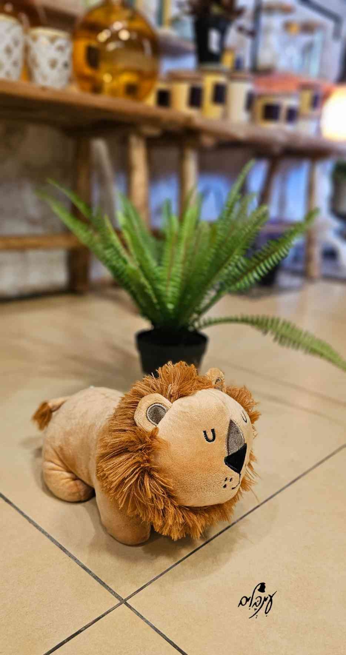 מעצור דלת אריה 1