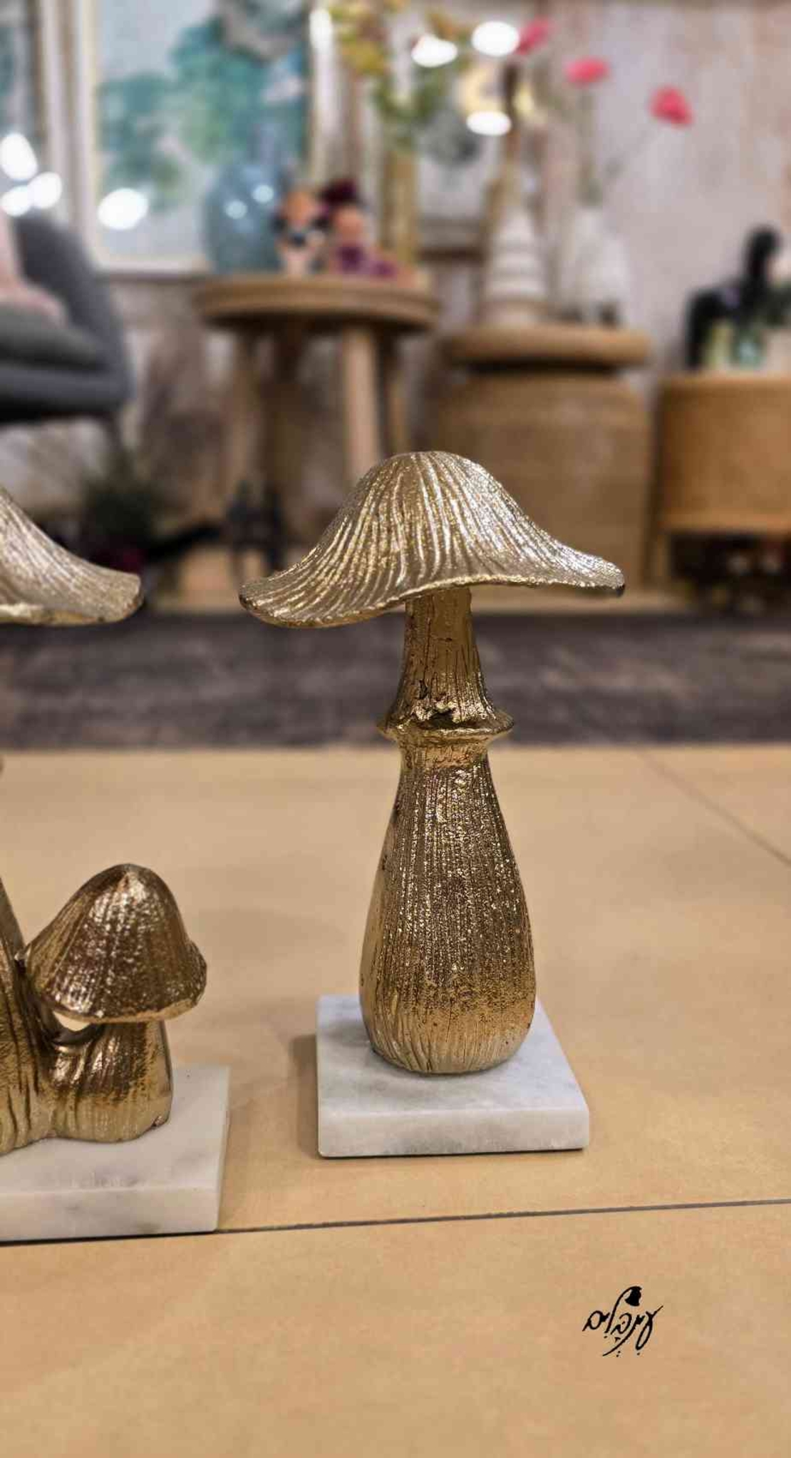 פטריית ברזל מוזהבת גדולה