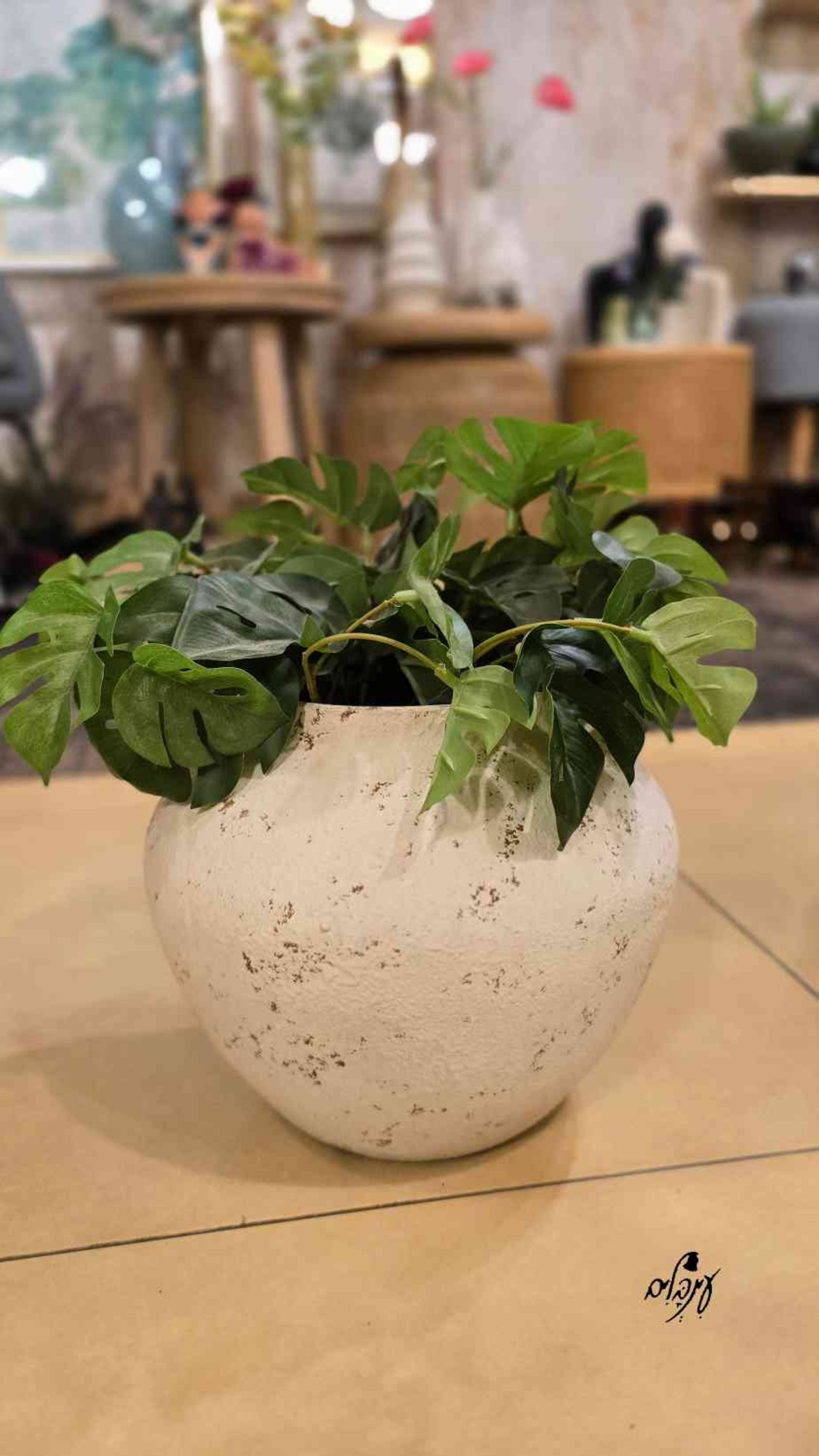 כד ברזל דגם 3