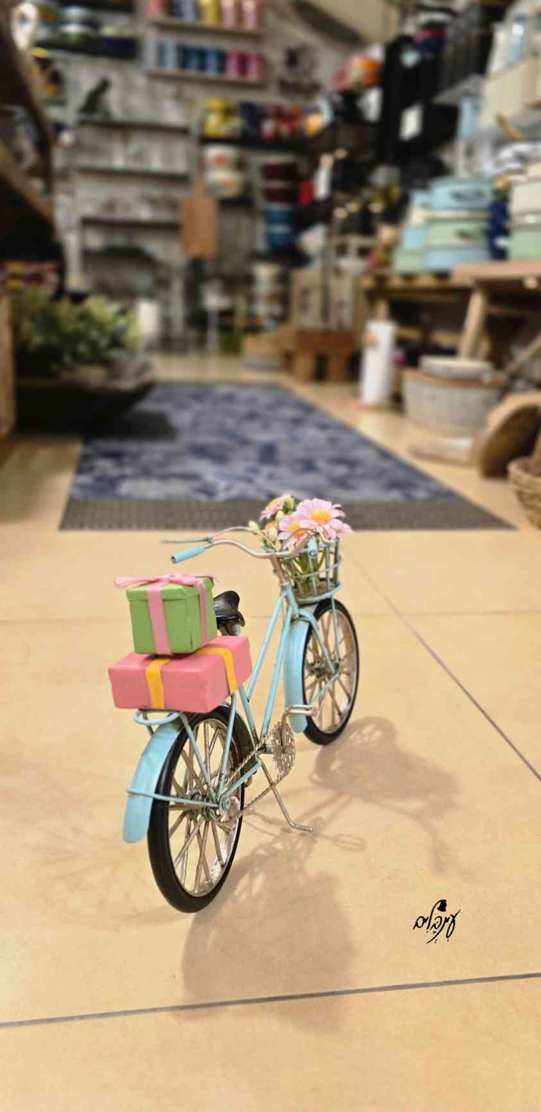 אופניים קיבוץ