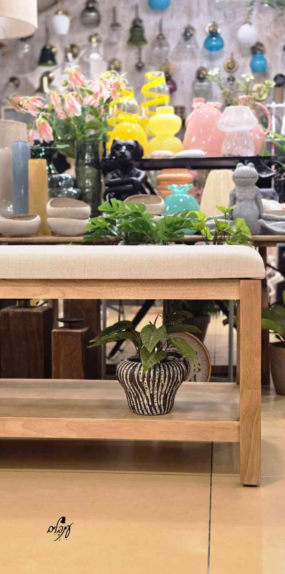 ספסל עץ מרופד