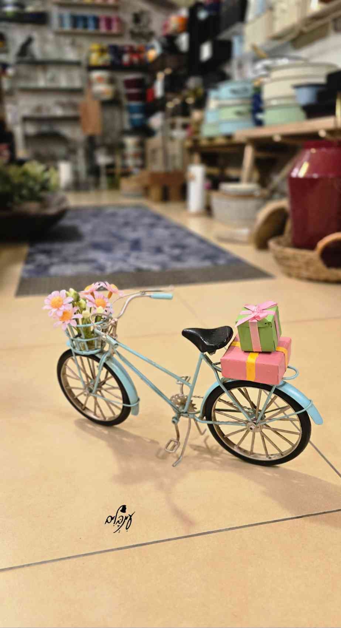 אופניים קיבוץ