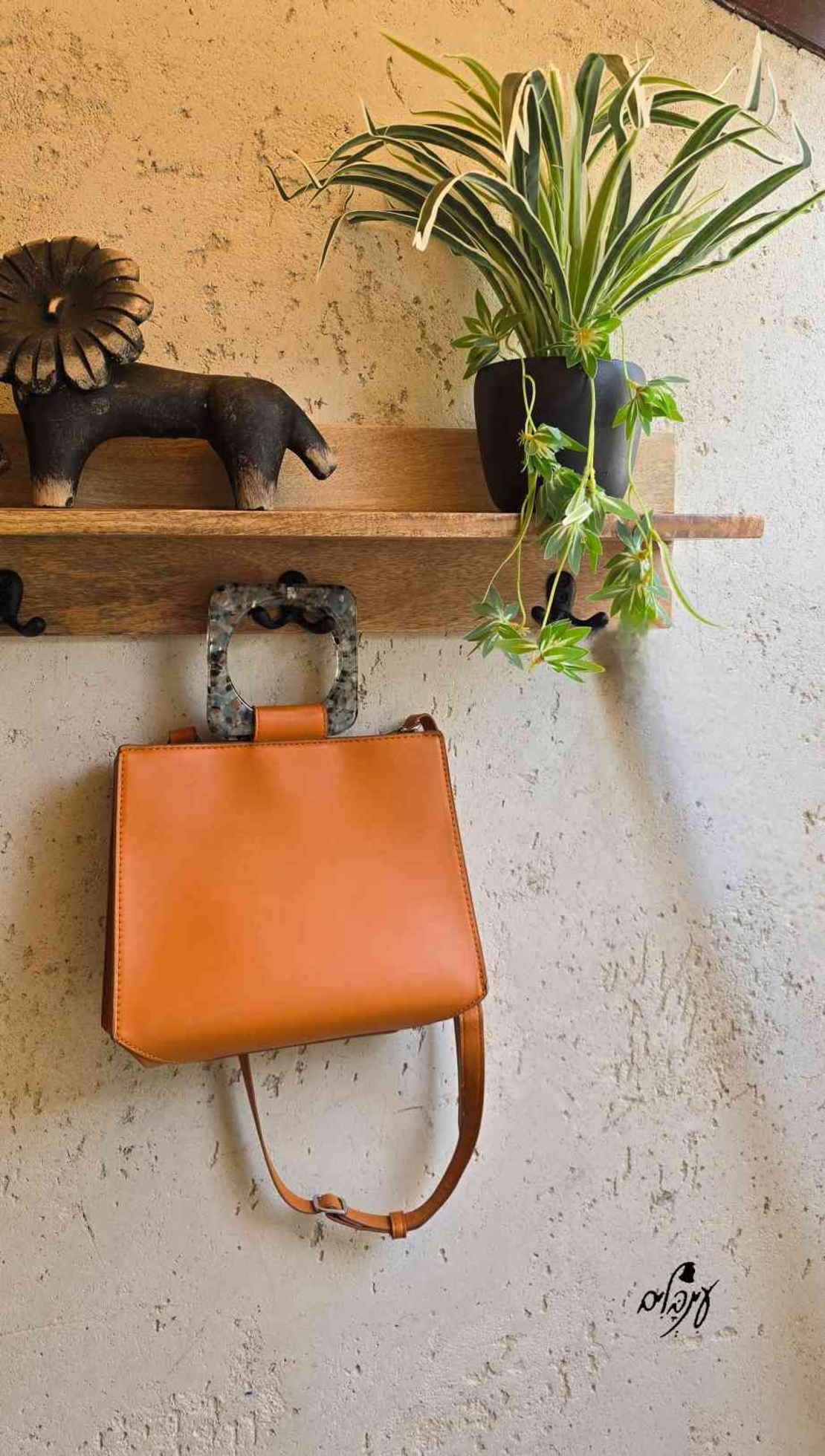 מדף עץ ווים