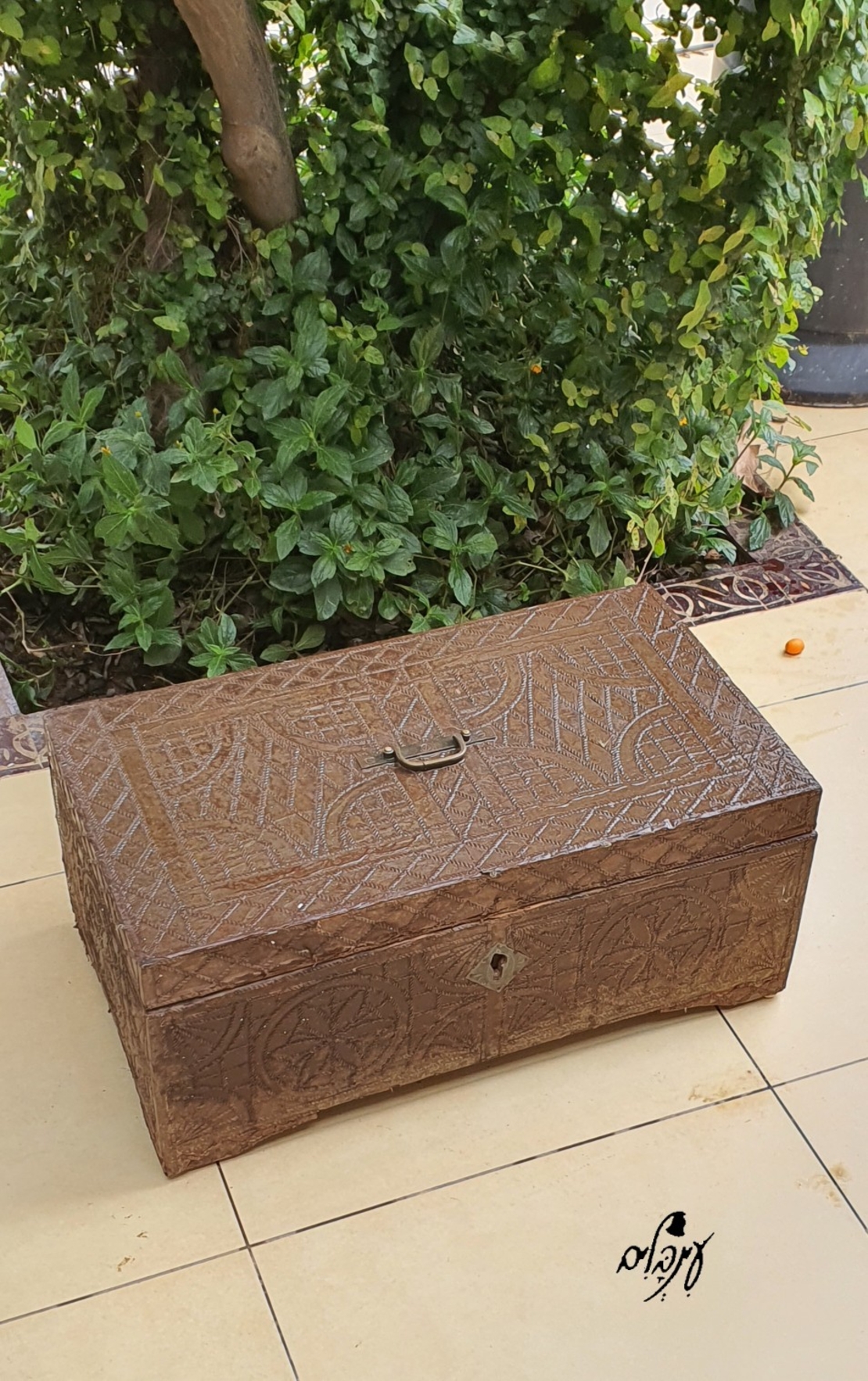 תיבת אוצר וינטג'