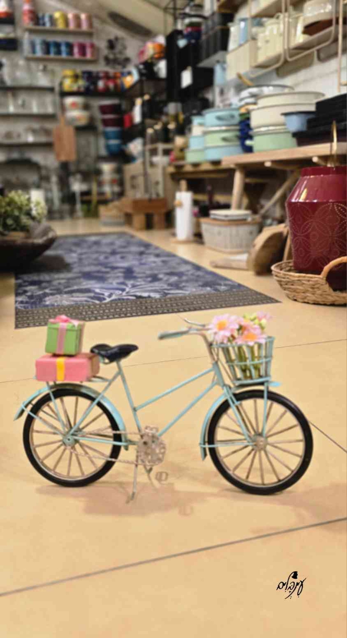 אופניים קיבוץ