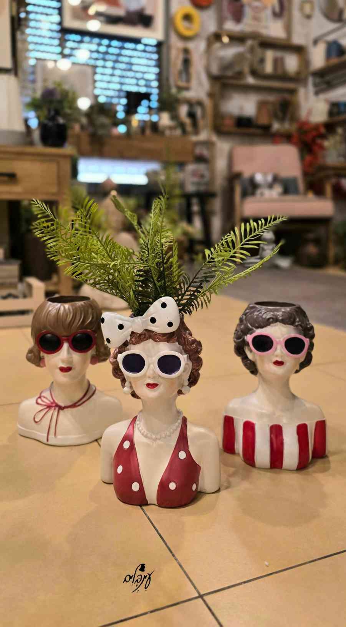 אגרטל גברת מגונדרת