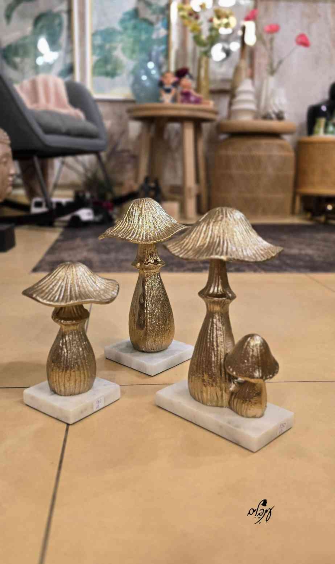 פטריית ברזל מוזהבת זוגית