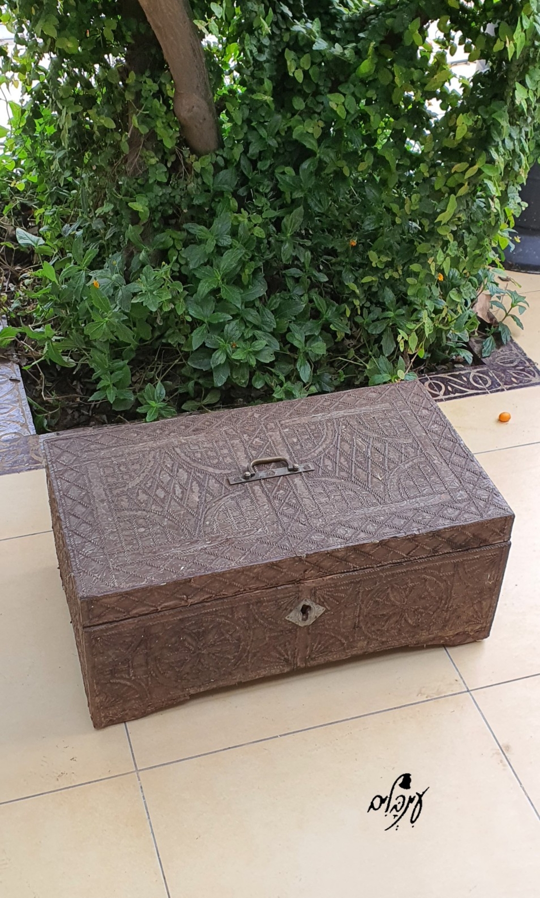 תיבת אוצר וינטג'
