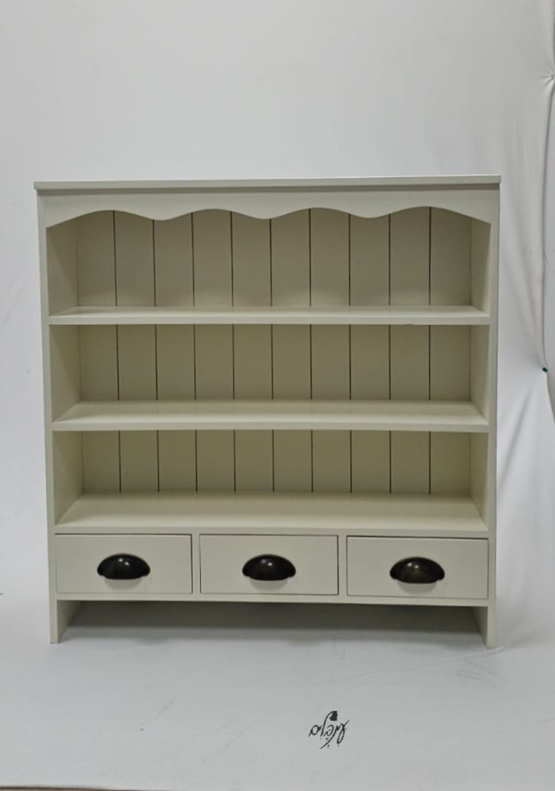 ארונית תליה שמנת