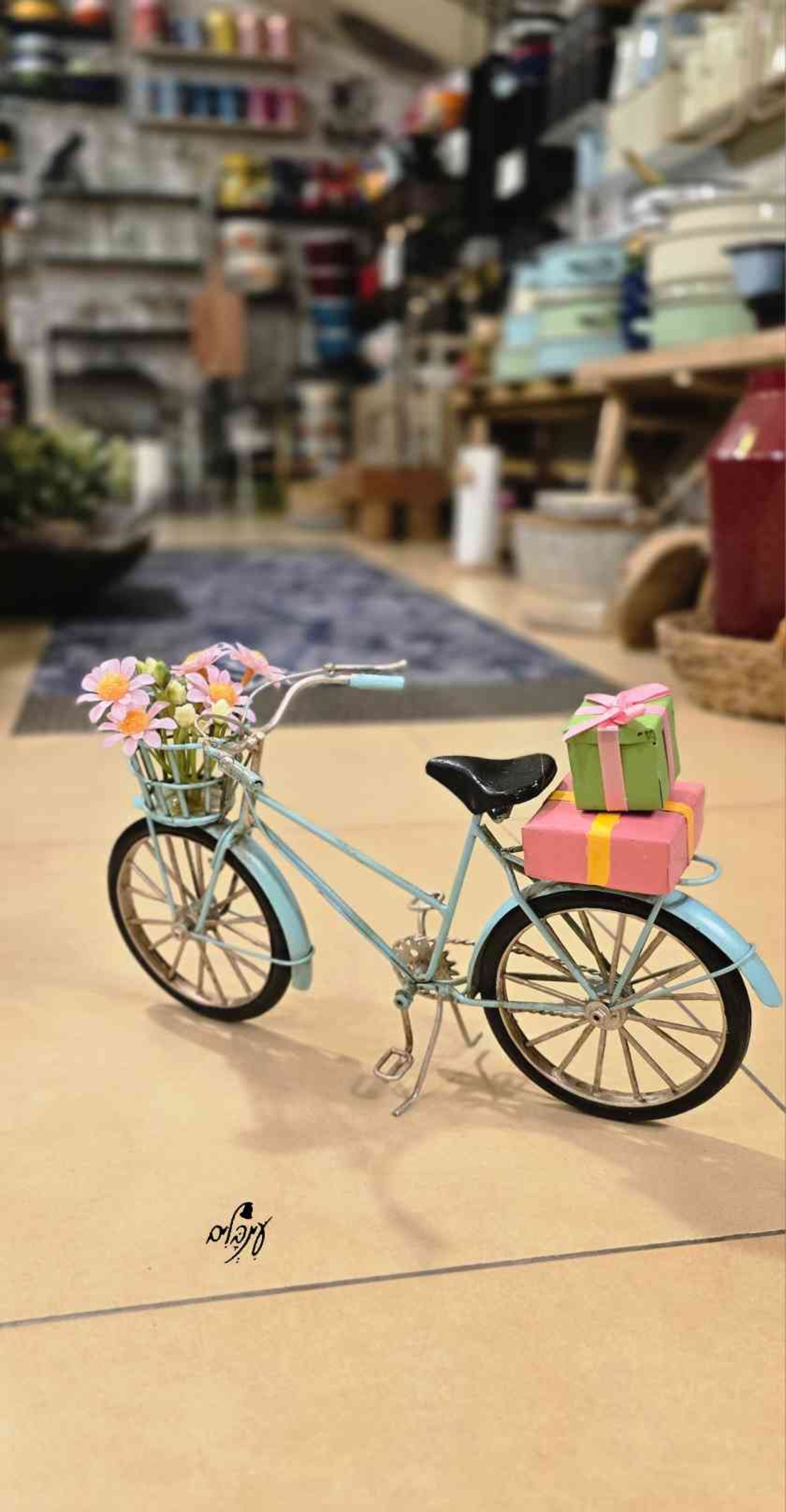 אופניים קיבוץ