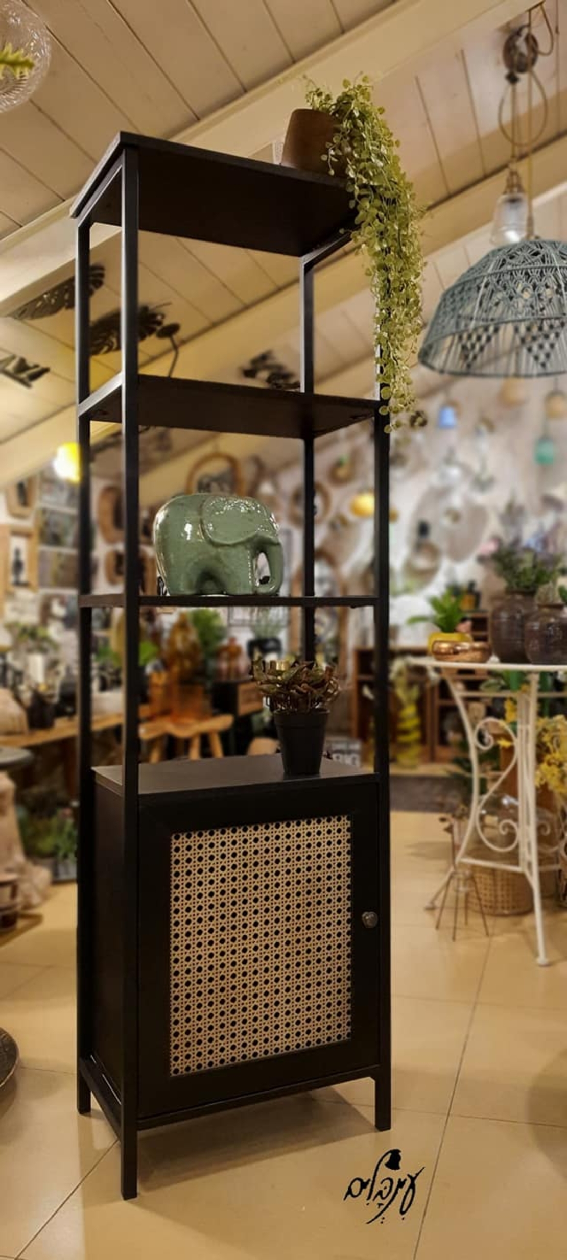 ספרית משרביה שחורה