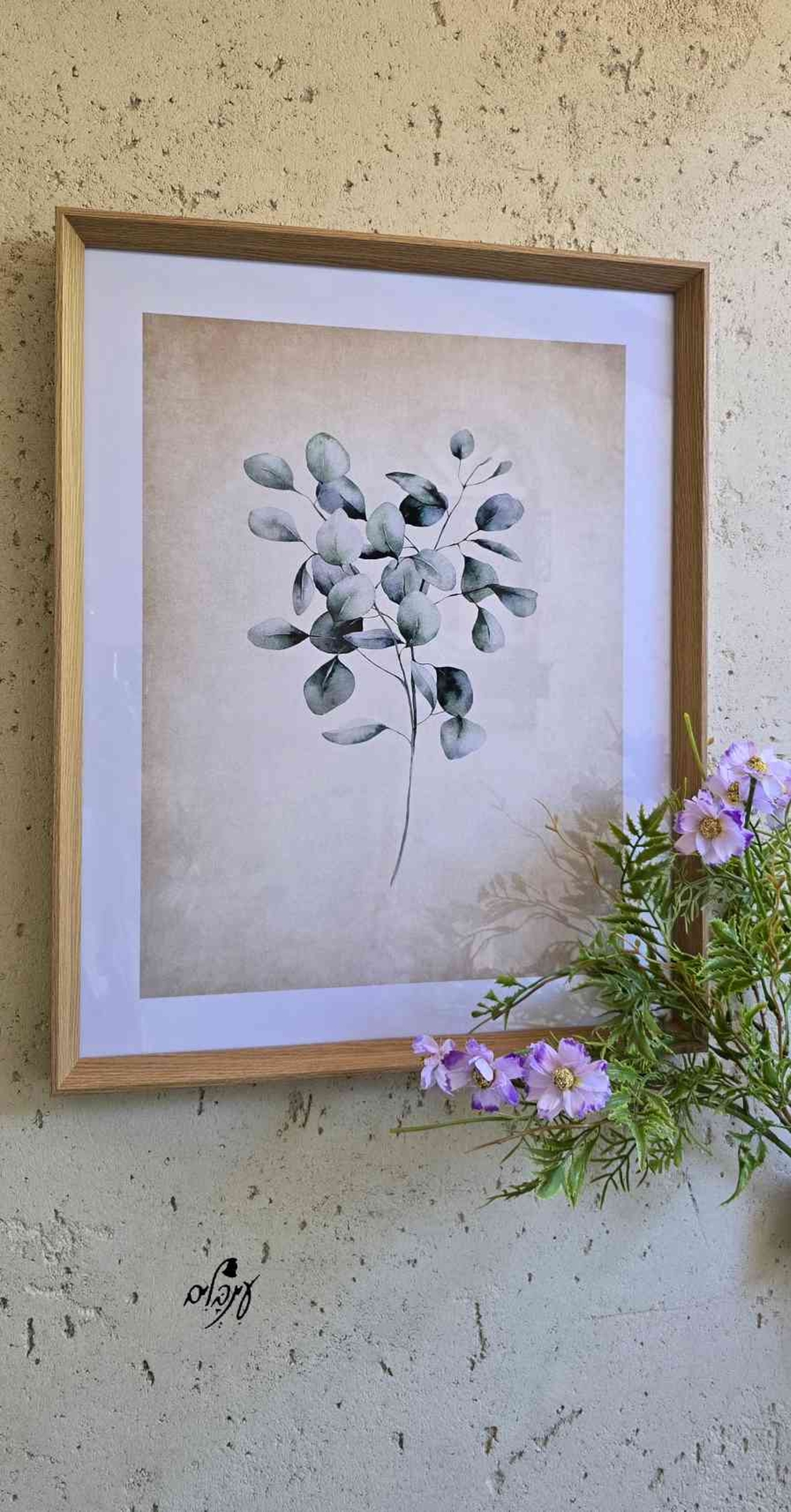 תמונת צמח דגם 4