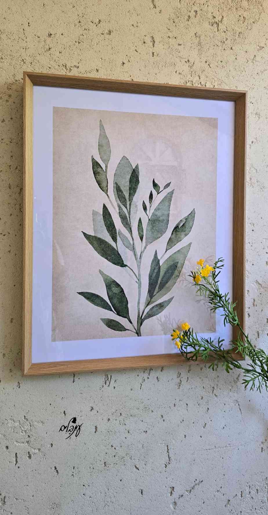 תמונת צמח דגם 2