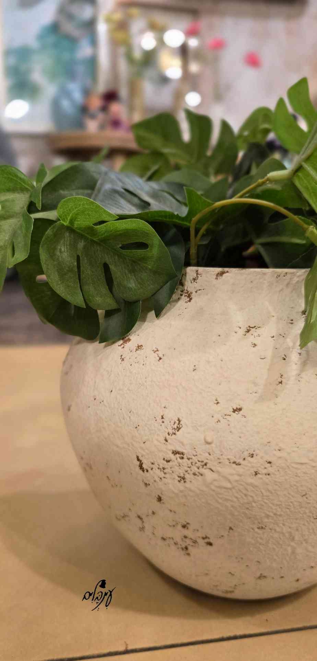 כד ברזל דגם 3