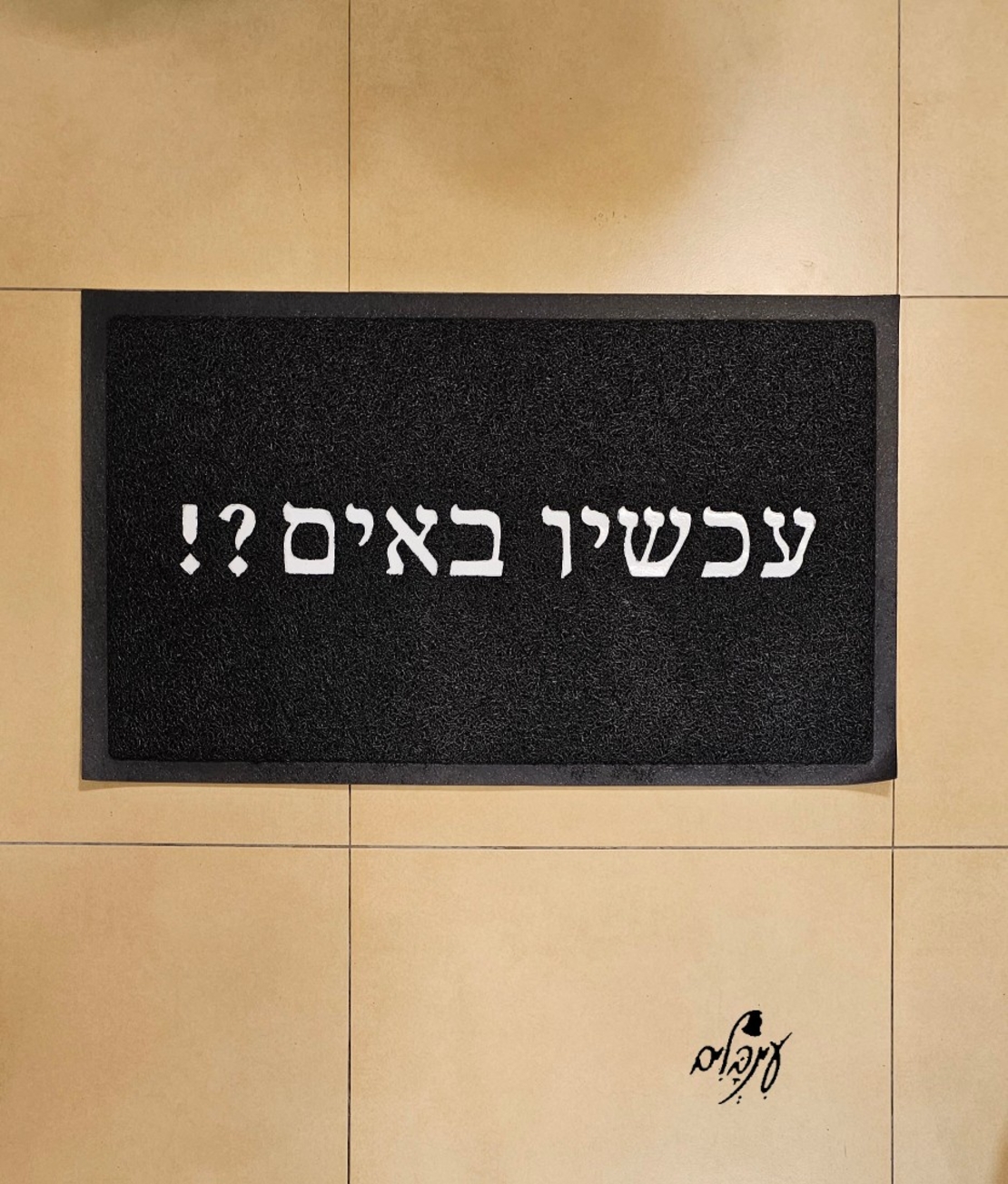 שטיח כניסה עכשיו באים?!